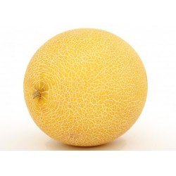 Grossiste Melon Espagne
