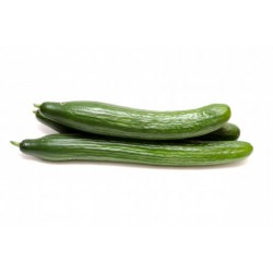 Mayorista de Pepino en España