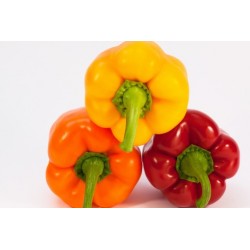 pimiento
