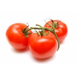Mayorista de Tomate en España​