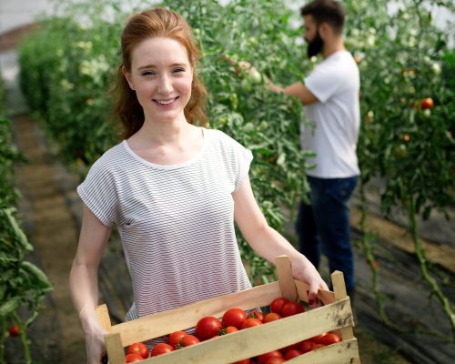 El sur de España un lugar ideal para la producción de alimentos frescos y saludables.