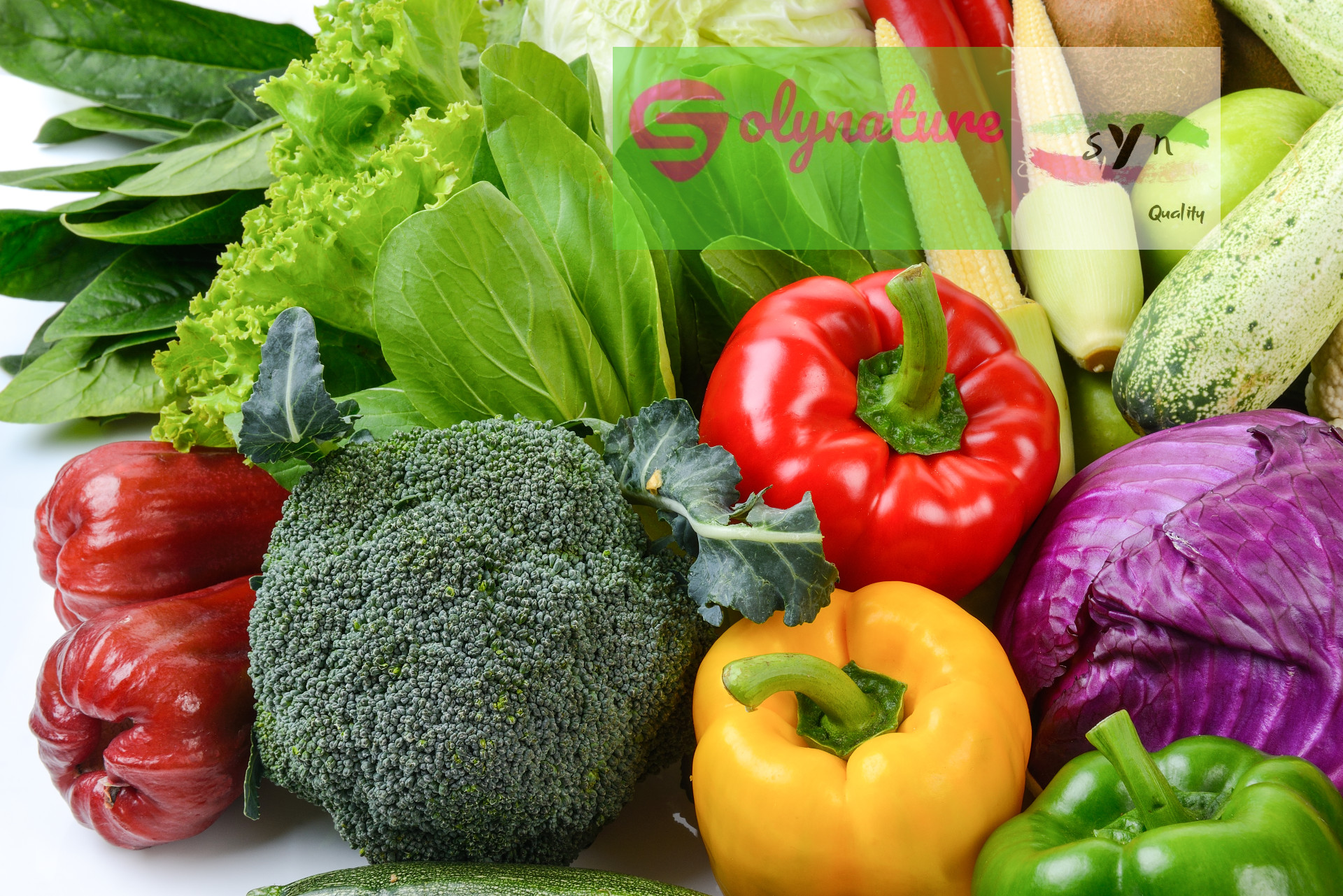 frutas verduras conservacion espagne