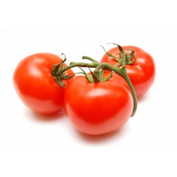 Grossiste Tomate Espagne